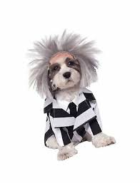 Real name is lester green. Official Rubie S Beetlejuice Halloween Pet Dog Costume Size Small 40 30 Picclick Uk