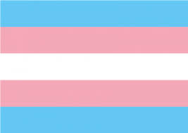 Holen sie sich ein 10.000 zweites transgender flag in shape of stockvideo mit 24fps. Flaggenlexikon Csd Deutschland