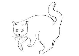 Savoir dessiner un chat est une chose qui fait envie à beaucoup d'amateurs de dessin, et quoi de plus normal, les chats sont beaux, classes, doux, gentils… avec ces bases commençons donc à dessiner notre chat ! Chat Dessin Banque D Images Et Photos Libres De Droits 123rf