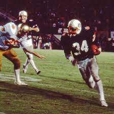 Image result for Dark Auburn 1982 Dodge