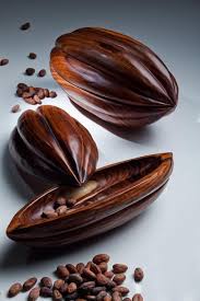 Rosewood Cocoa Pods Proteak Store Decadent Chocolate Theobroma Cacao Fruit Photography