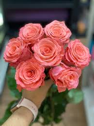 Check spelling or type a new query. The Sweet Peach Rose Conveys A Meaning Flowers Crafts Facebook