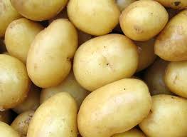 Potato (బంగాళ దుంప)