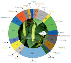 Image result for Psophocarpus lancifolius