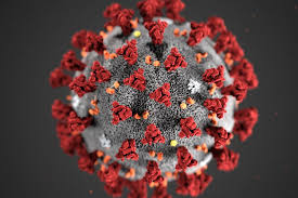 Whether you have a science buff or a harry potter fanatic, look no further than this list of trivia questions and answers for kids of all ages that will be fun for little minds to ponder. Weekly News Quiz For Students Special Coronavirus Edition The New York Times