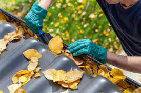 Essential Roof Gutter Cleaning Guide