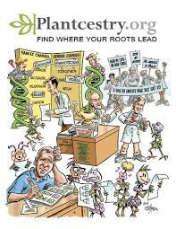 Plant Delights Nursery Catalog Plant Catalogs Mail Order Plants Plants