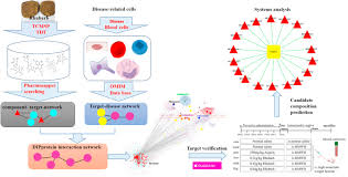 Image result for Hyperviscosity Syndrome