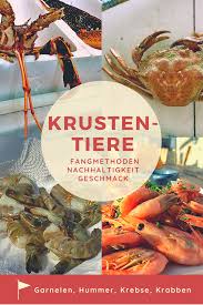 Garnelen Krabben Shrimps Oder Scampi Krustentiere Mit Estragon Butter Krustentiere Garnelen Krabben