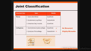 joint classification