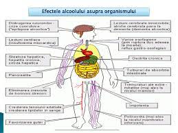 Clasificarea Compusilor Organici Ppt Katebasma