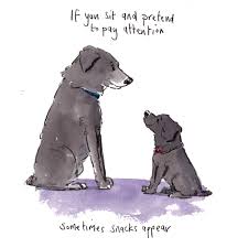 Twitches and tremors can originate from muscle or nerves, and can happen at any time. Iain Welch On Twitter Good Night Lovely People And Lovely Dogs Tonight S Picture Is An Old Dog Teaching Old Tricks Sleep Well Sweet Dreams Hoorayfordogs Labradors Puppy Https T Co Os9huhsyjk
