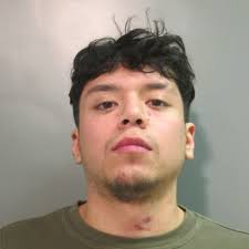 Fayetteville Arkansas Mugshots