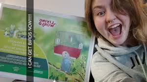 Recommended bird for first-time owners