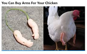 Chicken Arms Bits And Pieces Someone even created a hilarious photoshopped. chicken arms bits and pieces