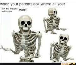 Pin On Funny Stuff