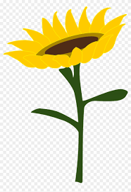 Bunga adalah bagian tumbuhan yang mempunyai keindahan karena memiliki warna. Sunflower Honey Sunflower Field Bunga Matahari Kartun Png Clipart 3377580 Pikpng