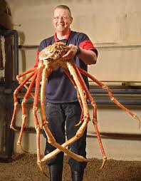 Goldenacresdogs.com berasal dari italia selatan, neapolitan mastiff umumnya bertugas sebagai anjing penjaga. 8 Haiwan Paling Besar Di Dunia Mengikut Kategori Tersendiri Iluminasi