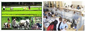Hutan pasca kegiatan hph pt siak raya. Katalog Media Bpmpk