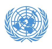 Image result for un logo