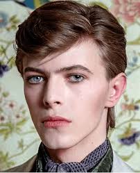 David Bowie Bio