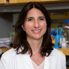 Lymphomas in the Young and the Old: How Do They Differ?