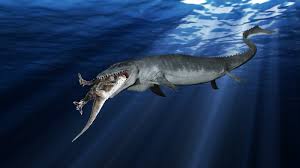 Karena luasnya yang besar, beberapa danau ada yang dianggap sebagai lautan. Mengerikan Banget Ini 11 Monster Laut Raksasa Pada Zaman Prasejarah