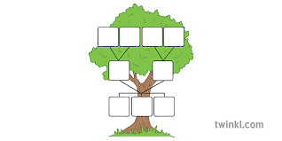 You can use the free online family tree tools or can download a piece of family tree software for the same. Family Tree Template Illustration Twinkl