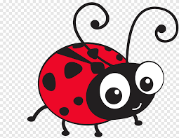 How to draw marinette (ladybug) T Shirt Ladybird Ladybird Drawing Ladybug Insects Cartoon Png Pngegg