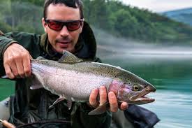 Regenbogenforelle regenbogenforelle filet mit haut regenbogenforelle geräuchert regenbogenforelle gesalzen regenbogenforelle konserve abgetropft regenbogenforelle. Forellen Arten Simfisch De Angeln Und Outdoor