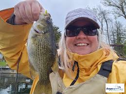 A Panfish-filled time at Sandbanks Provincial Park