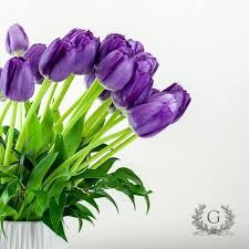 The aution starts at 6am every workday. Green Fresh Florals Plants Hillcrest 5 Tips From 70 Visitors
