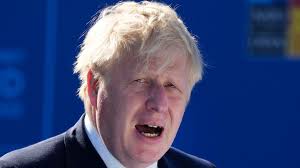 Probe into whether Boris Johnson misled parliament over partygate begins  with call for evidence