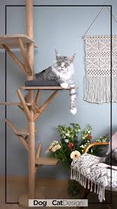 pin on arbre a chat design pour votre maison