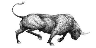 Bull By Jesse Campbell Brown Via Behance Dibujos De Toros Toros De Lidia Toros Y Toreros