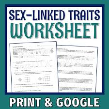 Sex-Linked Traits Worksheet - Flying Colors Science - Worksheets Library