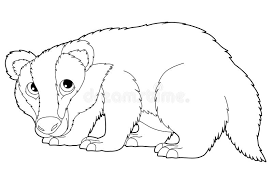 You can use our amazing online tool to color and edit the following bucky badger coloring pages. Badger Coloring Stock Illustrations 111 Badger Coloring Stock Illustrations Vectors Clipart Dreamstime