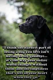 Hard to say goodbye i ll never forget all the unconditional unexpected death dog death quotes saying goodbye to your dog sympathy quotes pawprints left by Pin By Anita Hung On Paw Prints On My Heart Dog Quotes Losing A Dog Dogs And Puppies