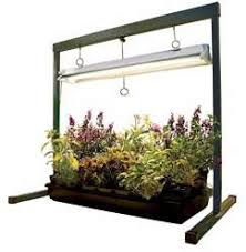 Discover our range of smart, energy saving, led and other light bulbs for every room in your home. Edl 15w Tissue Culture Plants Cabinet Led Smart Garden Hydroponics Growing Herb Plant Grow Light Kit