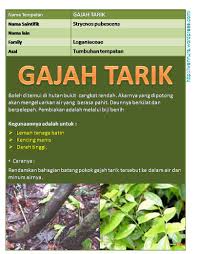 We did not find results for: Gajah Tarik Strycnos Pubescens Rawat Lemah Tenaga Batin Wannura