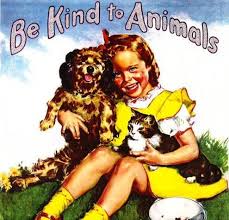 Be Kind To Animal People Week Pawcurious With Veterinarian And Author Dr V Kindness To Animals Animals Animal Stories