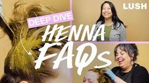 Chemical dyes lift your hair's cuticle and penetrate the hair shaft, using damaging chemicals (like ammonia) to do so. Lush Deep Dive Faqs About Henna Hair Dye Youtube