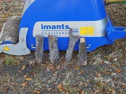 Often after root pruning your plant's leaves may shrink or even fall. Root Pruning St Johns Turf Care