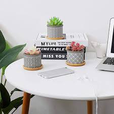 Cactus plants are living organisms and beautiful, cheap decorations. Concrete Cactus Pots Small Cacti Planter Grey Gardening Plant Pot Container For Home And Office Decoration Birthday Wedding T4u 6cm Cement Succulent Pots With Bamboo Tray 6 Set Flower Pots Ecog Garden