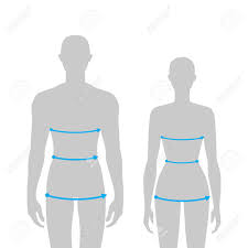 The biological difference between men and women in fertility. Women And Men To Do Body Measurement Fashion Illustration For Size Chart 7 5 Head Size Girl And Boy For Site Or Online Shop Human Body Infographic Template For Clothes Royalty Free Cliparts