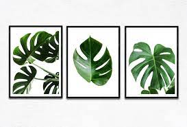 46% polyresin and 54% lime powder. 3 Piece Wall Art Monstera Leaves Set 3 Piece Decor Wall Art Set 3 Tropical Leaf Prints Palm Leaf Wall Art Etsy Wall Art 3 Piece Wall Art Cactus Wall Art