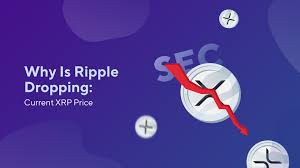 If the sec wins the lawsuit, the xrp price can fall down to a couple of cents. Why Is Ripple Dropping Current Xrp Price Blog Switchere Com