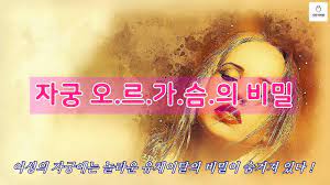 자궁섹스 - 나무위키