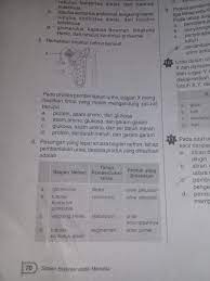 Maybe you would like to learn more about one of these? Tolong Dong Yang Nomer 5 Sama 6 Lks Ipa Kelas 8 Semester 2 Brainly Co Id
