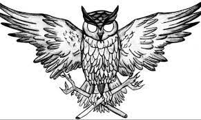 Hal itu karena burung hantu mempunyai sayap aerodinamis, sehingga kepakan sayapnya tidak menimbulkan suara. Sketsa Gambar Burung Hantu Radea